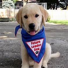 Fundraising Page: Daniel Champoux